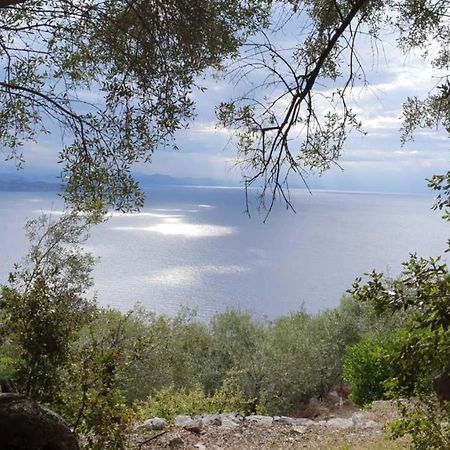 Nisaki  Rizes Sea View 빌라 외부 사진