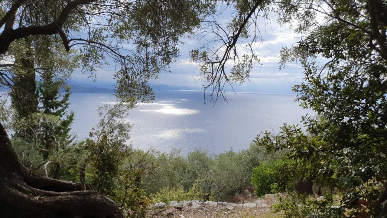 Nisaki  Rizes Sea View 빌라 외부 사진